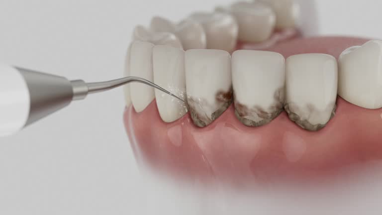 Reliable Dental contractor in Brown City, MI by Dentist Open Now